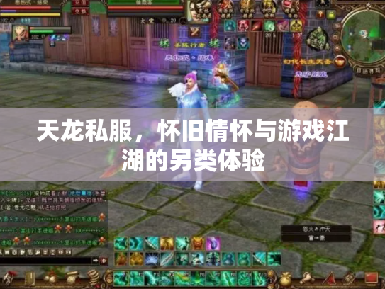 天龙私服，怀旧情怀与游戏江湖的另类体验