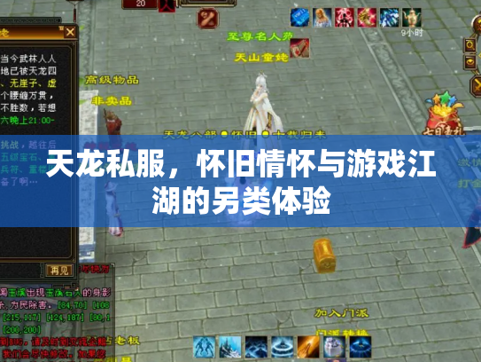 天龙私服，怀旧情怀与游戏江湖的另类体验