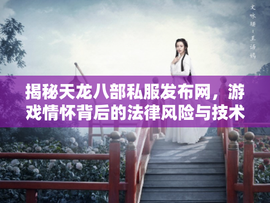 揭秘天龙八部私服发布网，游戏情怀背后的法律风险与技术隐患