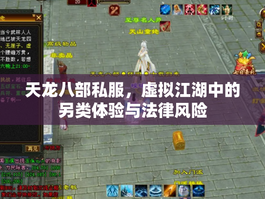 天龙八部私服，虚拟江湖中的另类体验与法律风险