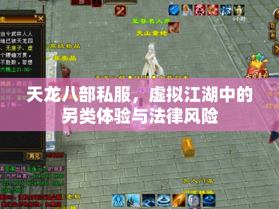 天龙八部私服，虚拟江湖中的另类体验与法律风险