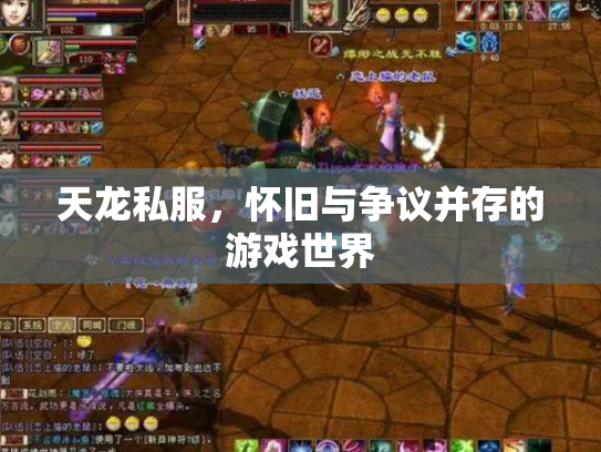 天龙私服，怀旧与争议并存的游戏世界