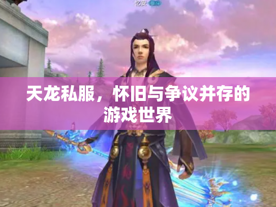 天龙私服，怀旧与争议并存的游戏世界
