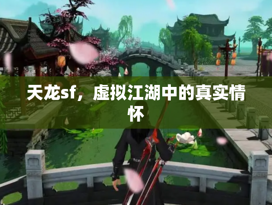 天龙sf，虚拟江湖中的真实情怀