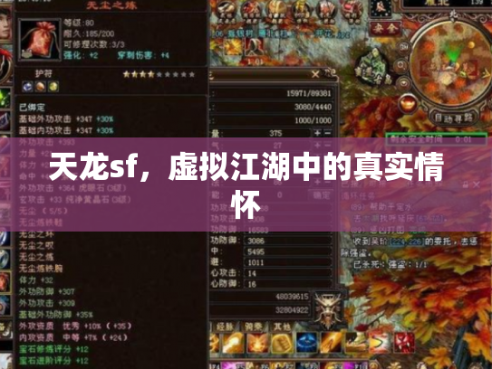 天龙sf，虚拟江湖中的真实情怀