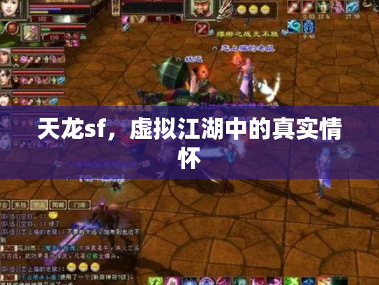 天龙sf，虚拟江湖中的真实情怀