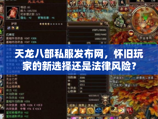 天龙八部私服发布网，怀旧玩家的新选择还是法律风险？