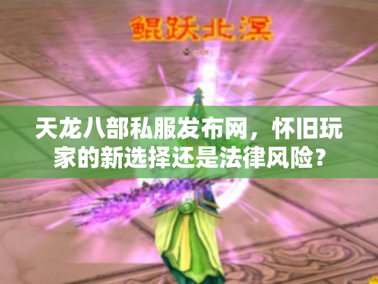 天龙八部私服发布网，怀旧玩家的新选择还是法律风险？