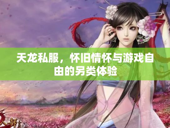 天龙私服，怀旧情怀与游戏自由的另类体验