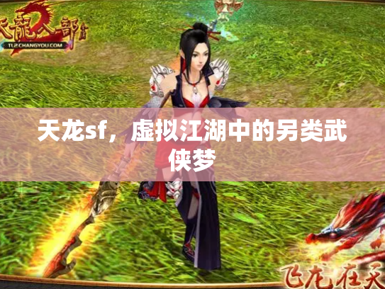 天龙sf，虚拟江湖中的另类武侠梦
