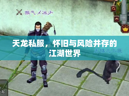 天龙私服，怀旧与风险并存的江湖世界