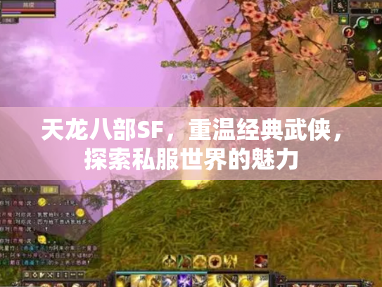天龙八部SF，重温经典武侠，探索私服世界的魅力