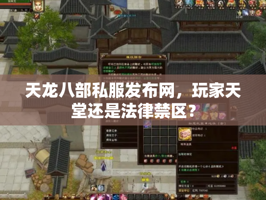 天龙八部私服发布网，玩家天堂还是法律禁区？