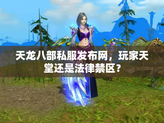 天龙八部私服发布网，玩家天堂还是法律禁区？