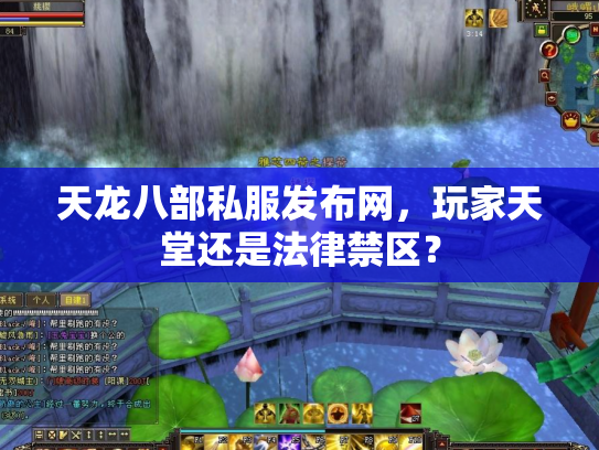 天龙八部私服发布网，玩家天堂还是法律禁区？