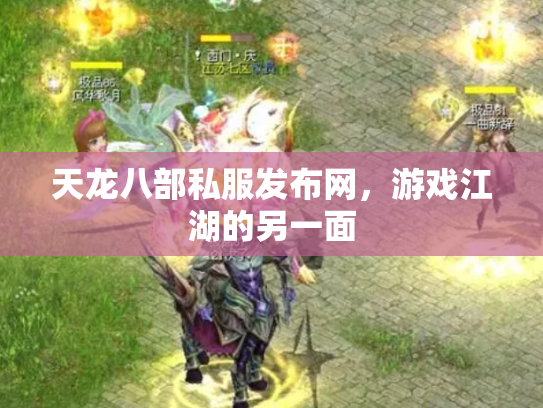 天龙八部私服发布网，游戏江湖的另一面