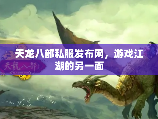 天龙八部私服发布网，游戏江湖的另一面