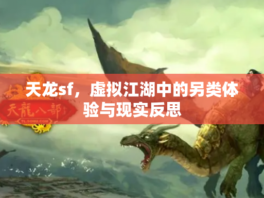 天龙sf，虚拟江湖中的另类体验与现实反思