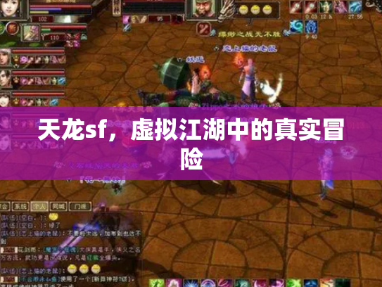天龙sf，虚拟江湖中的真实冒险