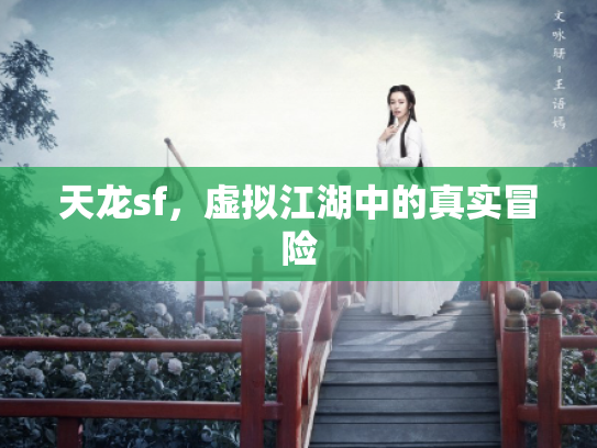 天龙sf，虚拟江湖中的真实冒险