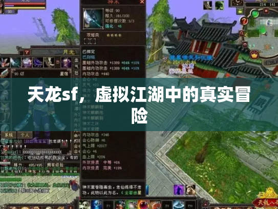 天龙sf，虚拟江湖中的真实冒险