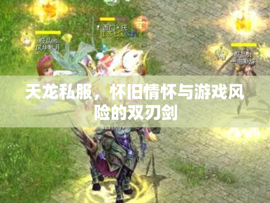 天龙私服，怀旧情怀与游戏风险的双刃剑