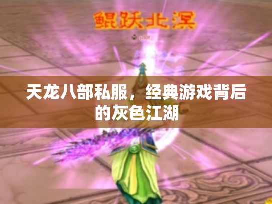 天龙八部私服，经典游戏背后的灰色江湖