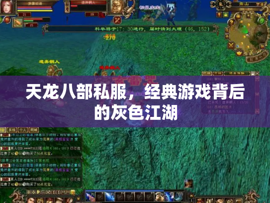 天龙八部私服，经典游戏背后的灰色江湖