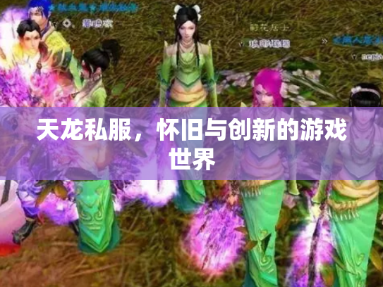 天龙私服，怀旧与创新的游戏世界