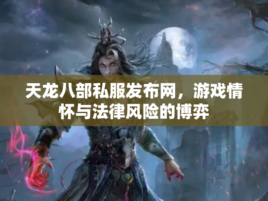 天龙八部私服发布网，游戏情怀与法律风险的博弈