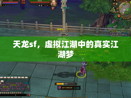 天龙sf，虚拟江湖中的真实江湖梦