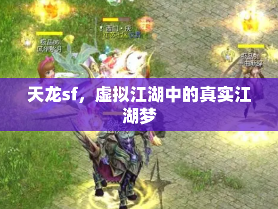 天龙sf，虚拟江湖中的真实江湖梦