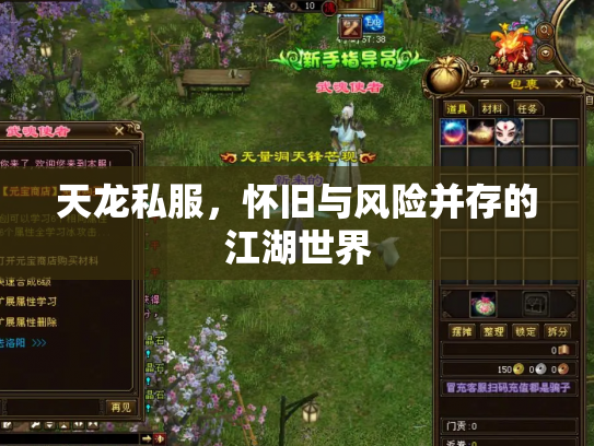 天龙私服，怀旧与风险并存的江湖世界