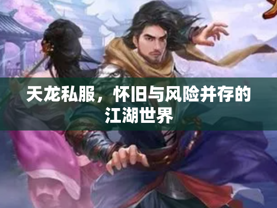天龙私服，怀旧与风险并存的江湖世界