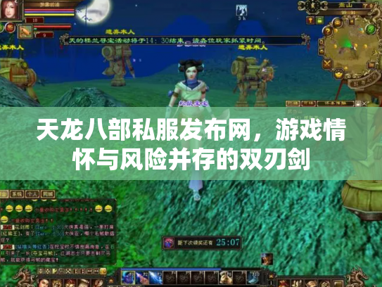 天龙八部私服发布网，游戏情怀与风险并存的双刃剑