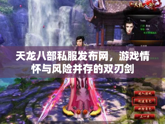 天龙八部私服发布网，游戏情怀与风险并存的双刃剑