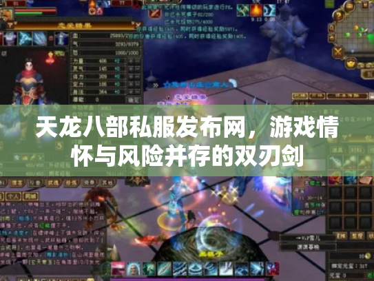 天龙八部私服发布网，游戏情怀与风险并存的双刃剑