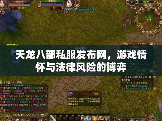 天龙八部私服发布网，游戏情怀与法律风险的博弈