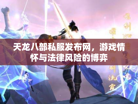 天龙八部私服发布网，游戏情怀与法律风险的博弈