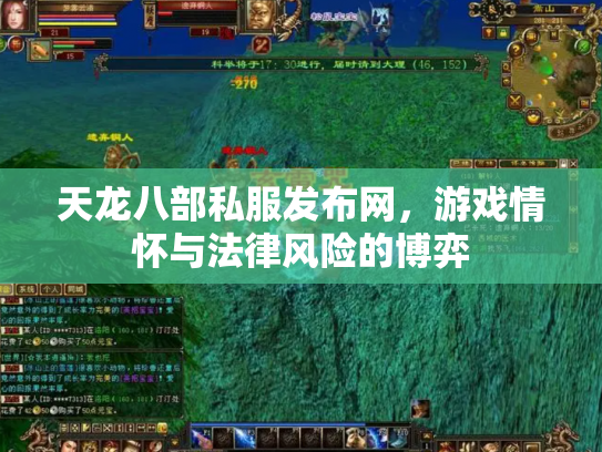 天龙八部私服发布网，游戏情怀与法律风险的博弈