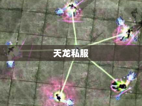 天龙私服