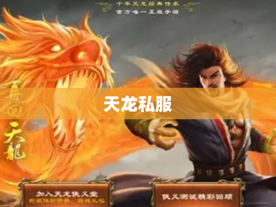 天龙私服