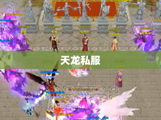 天龙私服