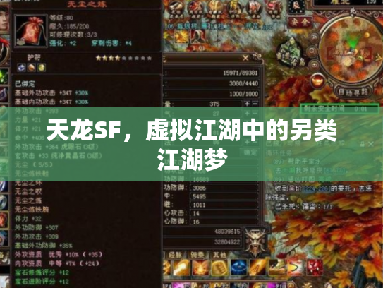 天龙SF，虚拟江湖中的另类江湖梦