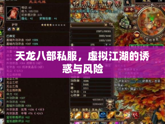 天龙八部私服，虚拟江湖的诱惑与风险