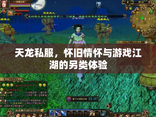 天龙私服，怀旧情怀与游戏江湖的另类体验