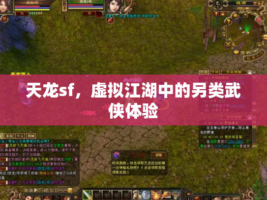 天龙sf，虚拟江湖中的另类武侠体验