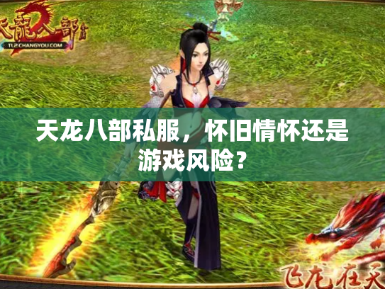 天龙八部私服，怀旧情怀还是游戏风险？