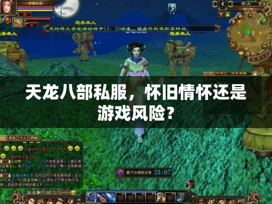 天龙八部私服，怀旧情怀还是游戏风险？