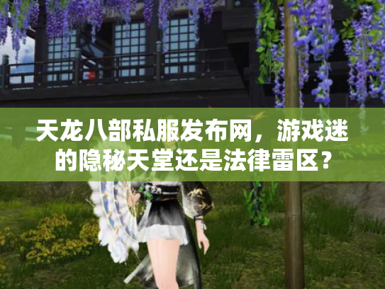 天龙八部私服发布网，游戏迷的隐秘天堂还是法律雷区？